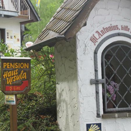 Pension Haus Ursula Koblenz  Luaran gambar