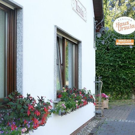 Pension Haus Ursula Koblenz  Luaran gambar