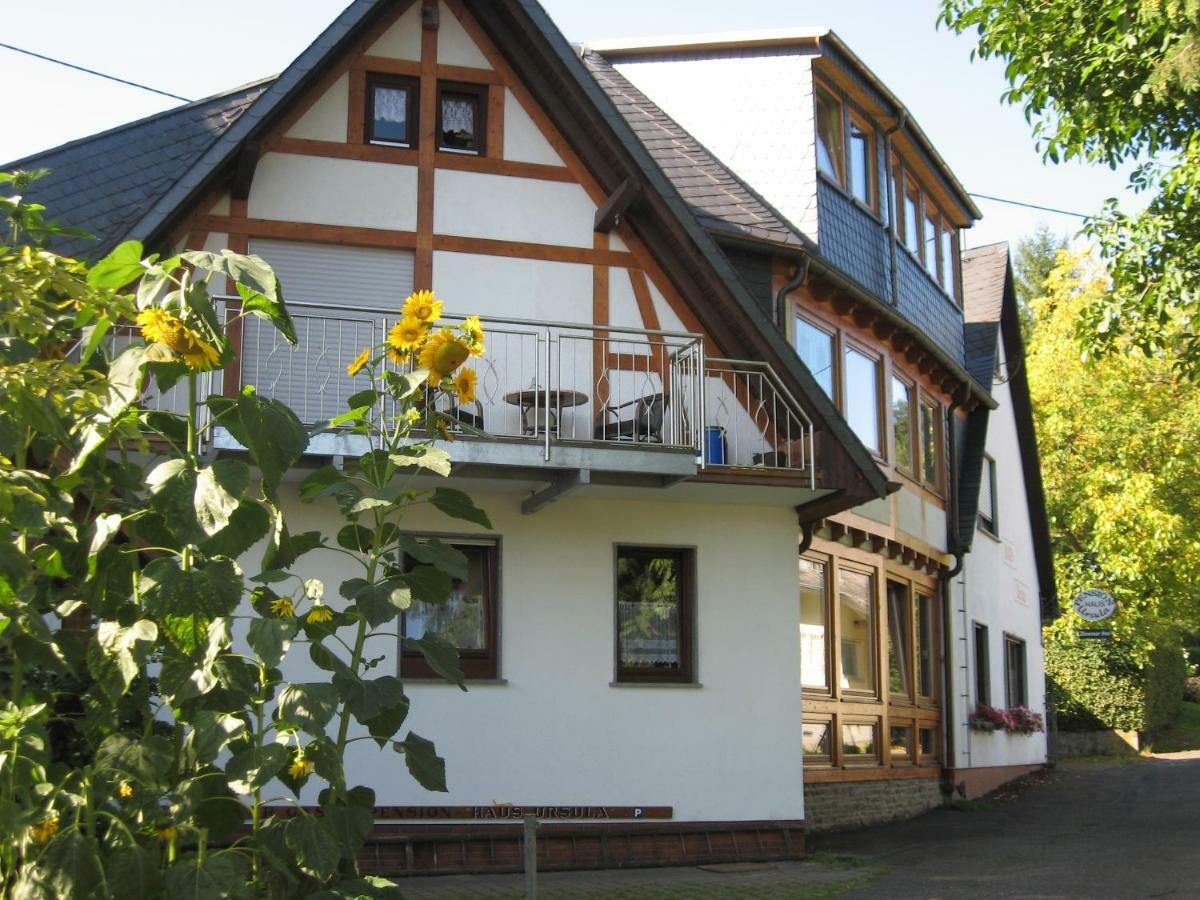 Pension Haus Ursula Koblenz  Luaran gambar