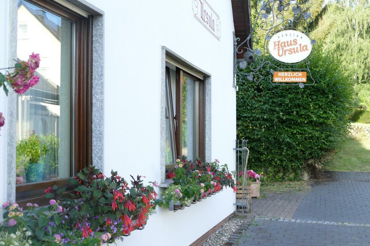 Pension Haus Ursula Koblenz  Luaran gambar